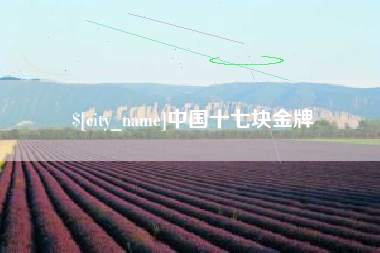 顺德中国十七块金牌