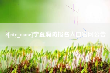 顺德宁夏消防报名入口官网公告