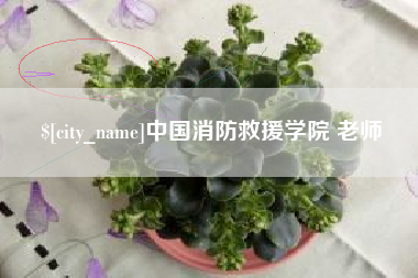 顺德中国消防救援学院 老师