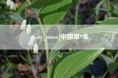 顺德中国第9金