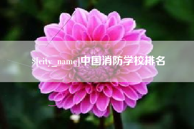 顺德中国消防学校排名