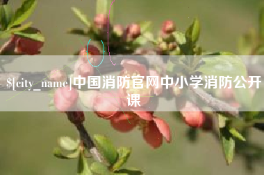 顺德中国消防官网中小学消防公开课