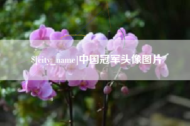 顺德中国冠军头像图片