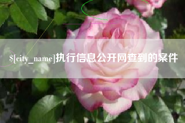 顺德执行信息公开网查到的案件