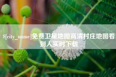 顺德免费卫星地图高清村庄地图看到人实时下载