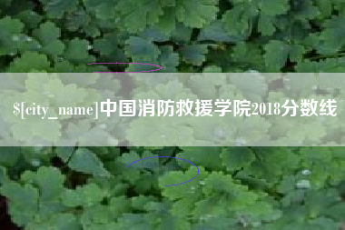 顺德中国消防救援学院2018分数线