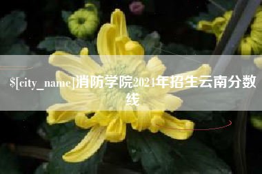 顺德消防学院2024年招生云南分数线