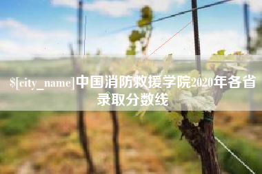 顺德中国消防救援学院2020年各省录取分数线