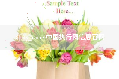 顺德中国执行网信息官网