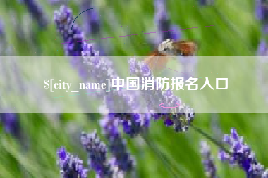 顺德中国消防报名入口