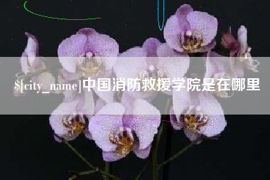 顺德中国消防救援学院是在哪里