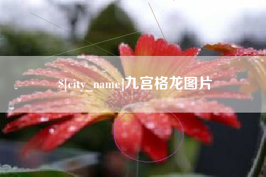 顺德九宫格龙图片