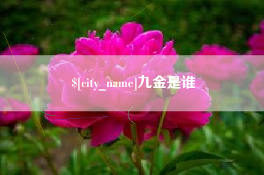 顺德九金是谁