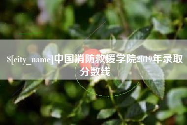 顺德中国消防救援学院2019年录取分数线