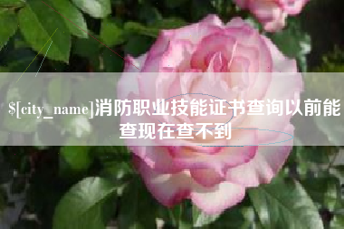 顺德消防职业技能证书查询以前能查现在查不到