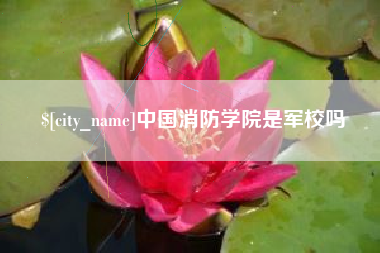 顺德中国消防学院是军校吗