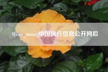 顺德中国执行信息公开网后
