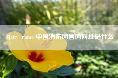 顺德中国消防网官网网址是什么