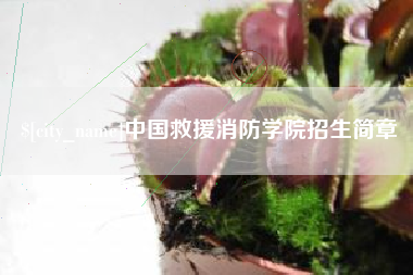 顺德中国救援消防学院招生简章
