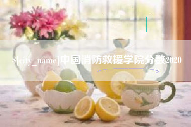 顺德中国消防救援学院分数2020