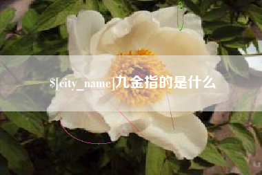 顺德九金指的是什么