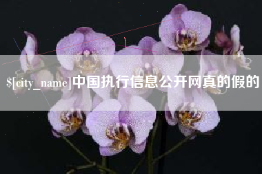 顺德中国执行信息公开网真的假的