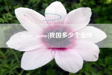 顺德我国多少个金牌