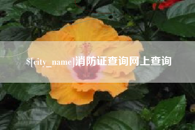 顺德消防证查询网上查询