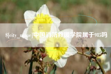 顺德中国消防救援学院属于985吗