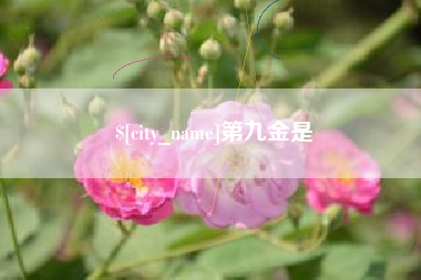 顺德第九金是