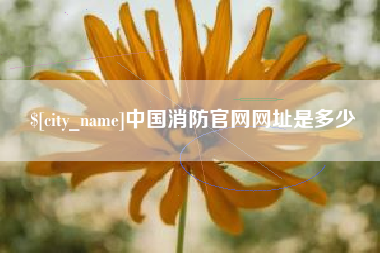 顺德中国消防官网网址是多少