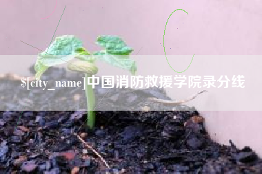 顺德中国消防救援学院录分线