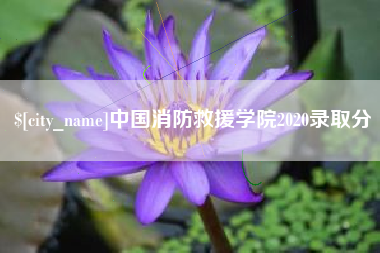 顺德中国消防救援学院2020录取分