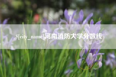 顺德河南消防大学分数线