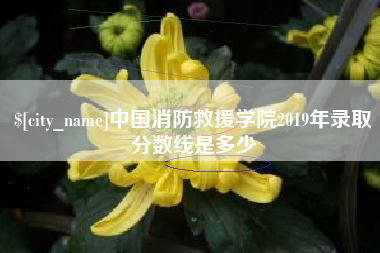 顺德中国消防救援学院2019年录取分数线是多少