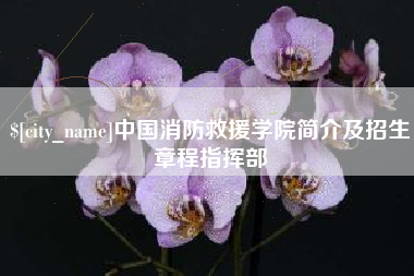 顺德中国消防救援学院简介及招生章程指挥部