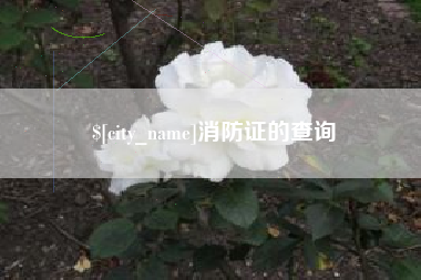 顺德消防证的查询