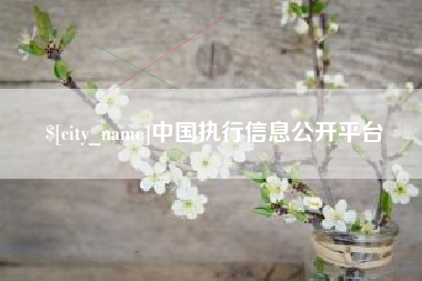 顺德中国执行信息公开平台