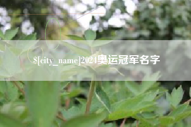 顺德2024奥运冠军名字