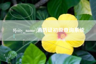 顺德消防证初级查询系统