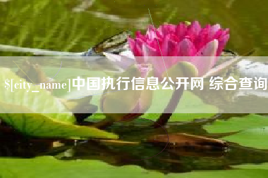 顺德中国执行信息公开网 综合查询