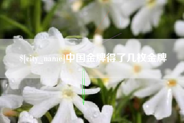 顺德中国金牌得了几枚金牌