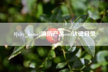 顺德消防产品cccf认证目录
