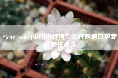 顺德中国执行信息公开网信息更新时间是多久