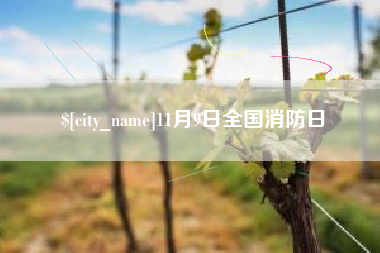 顺德11月9日全国消防日