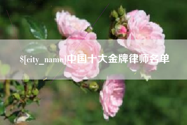 顺德中国十大金牌律师名单