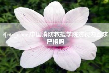 顺德中国消防救援学院对视力要求严格吗