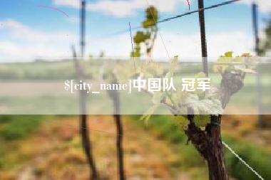 顺德中国队 冠军