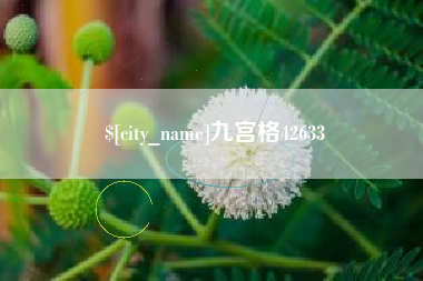 顺德九宫格42633