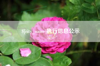 顺德执行信息公示